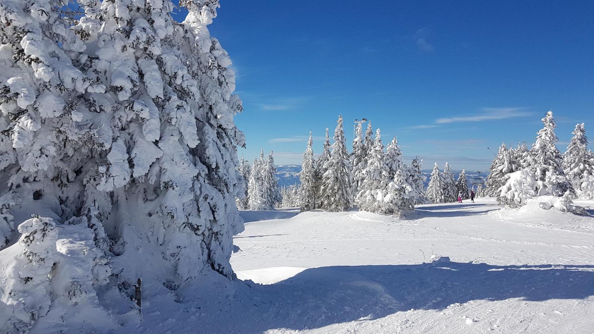 Marrilux Apartments Residence Hill Kopaonik Exterior foto